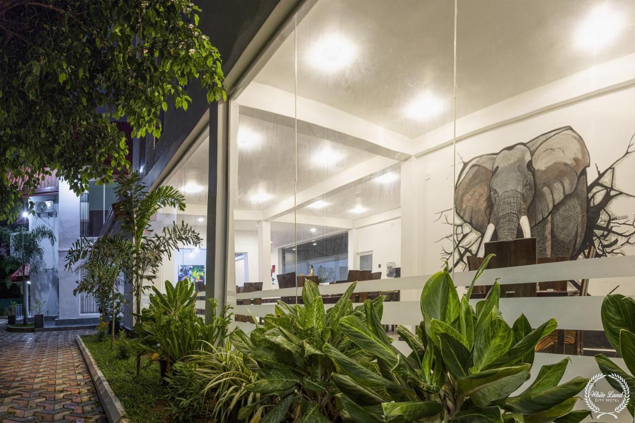 White Land City Hotel Dambulla Zewnętrze zdjęcie